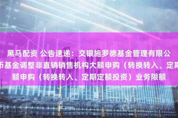 黑马配资 公告速递：交银施罗德基金管理有限公司关于交银天鑫宝货币基金调整非直销销售机构大额申购（转换转入、定期定额投资）业务限额