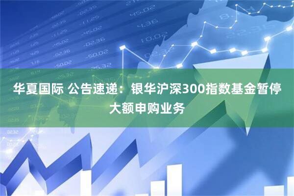 华夏国际 公告速递：银华沪深300指数基金暂停大额申购业务