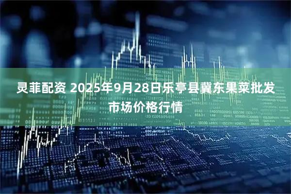 灵菲配资 2025年9月28日乐亭县冀东果菜批发市场价格行情