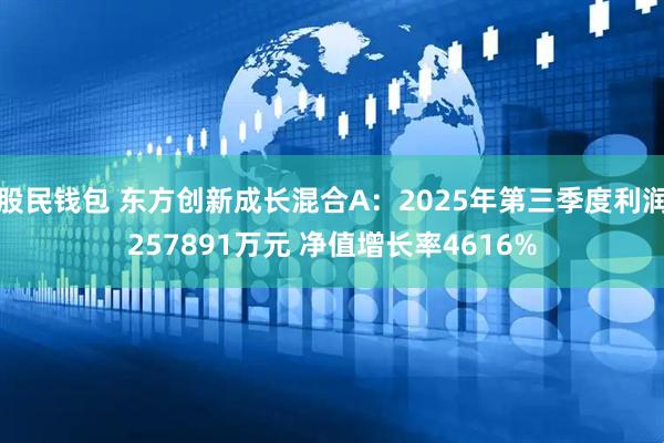 股民钱包 东方创新成长混合A:2025年第三季度利润257891万元 净值增长率4616%